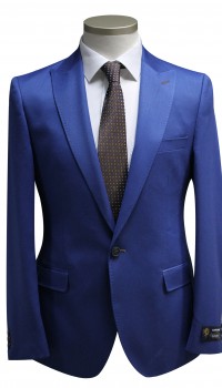 Ala&inodot;n Gaspard-Regular Fit Blazer